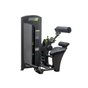 Prime Fitness Evolution Selectorized Back Extension