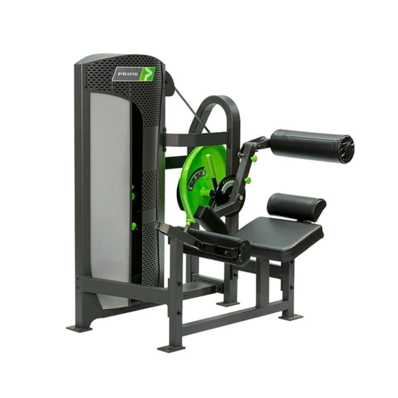 Prime Fitness Hybrid Selectorised Low Back Extension