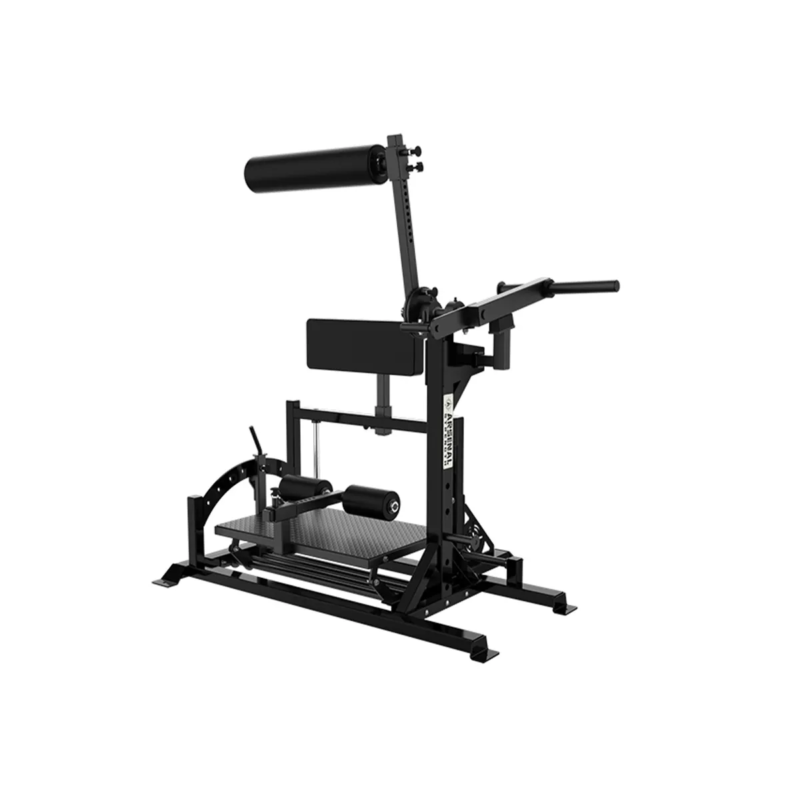 Arsenal Strength Reloaded Posterior Chain Developer