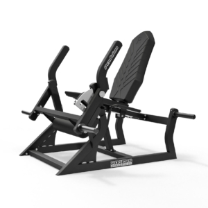 Rogers Pendulum Leg Extension