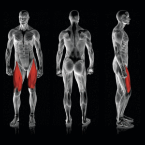 Rogers Pendulum Leg Extension