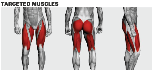 Performance Line Power Squat - Rogers