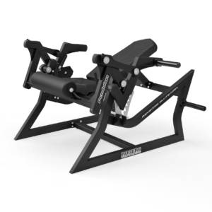 Rogers Pendulum Reverse Glute Ham
