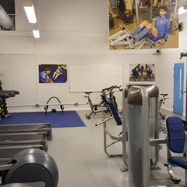 The Arena Academy