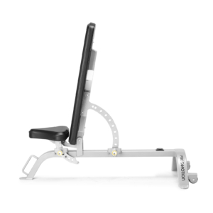 Freemotion Adjustable Bench