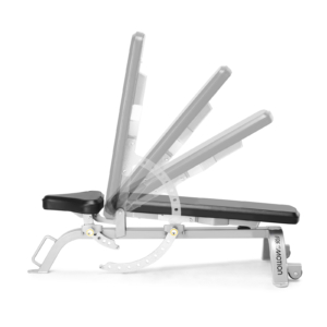 Freemotion Adjustable Bench