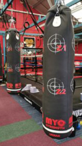Woody's Back to Basics Community Gym Woody's Back to Basics Community Gym