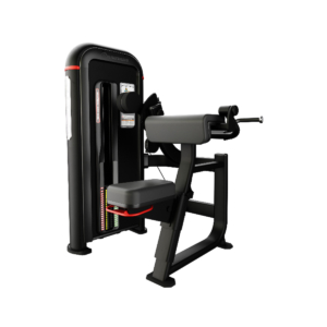 Inspiration Bilateral Arm Curl