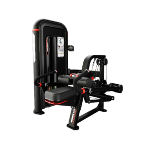 Inspiration Tricep Dip