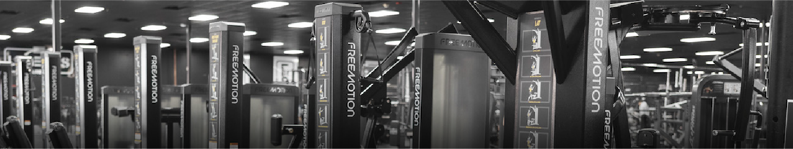 Freemotion Equipment at Legends Barbell Large commercial gym filled with Freemotion cardio and strength equipment