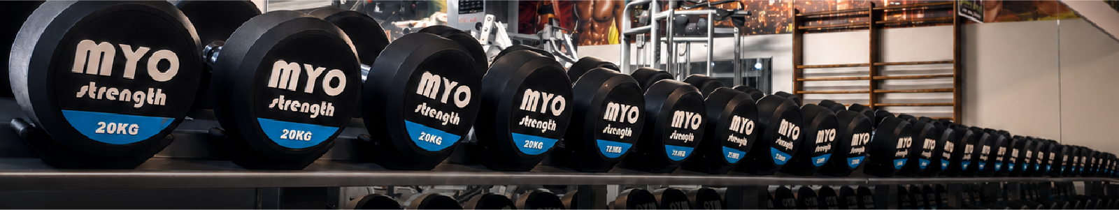 MYO Strength Dumbbell Rack MYO Strength Dumbbell Rack
