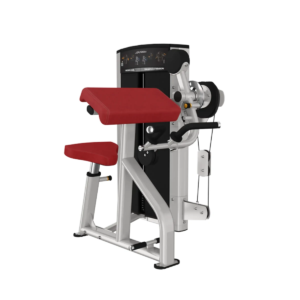 Life Fitness Axiom Series Biceps / Triceps selectorised arm training machine