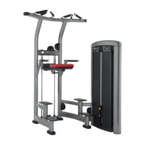 Insignia Series Assist Dip Chin