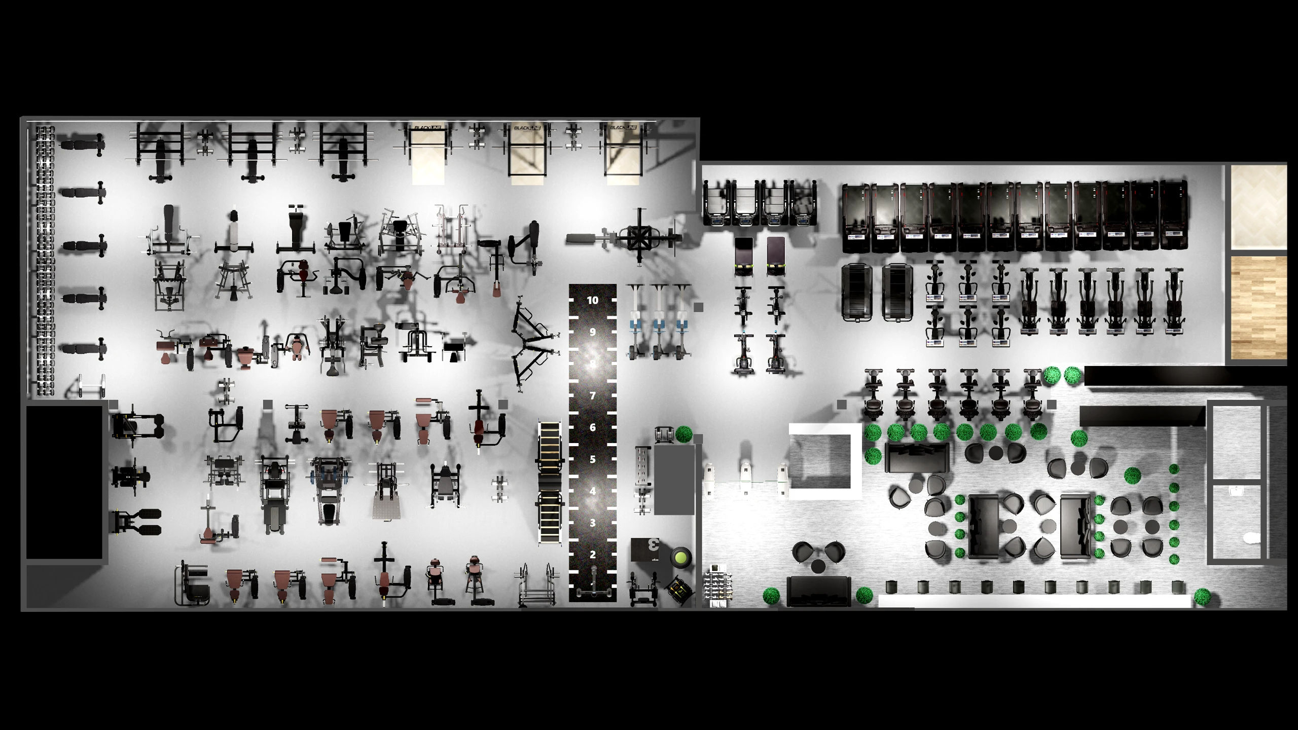 Blackline Gym Ascot - Gym Plan